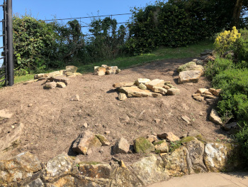 Alpine garden design