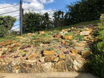 Alpine garden design