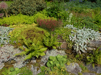 Alpine garden design
