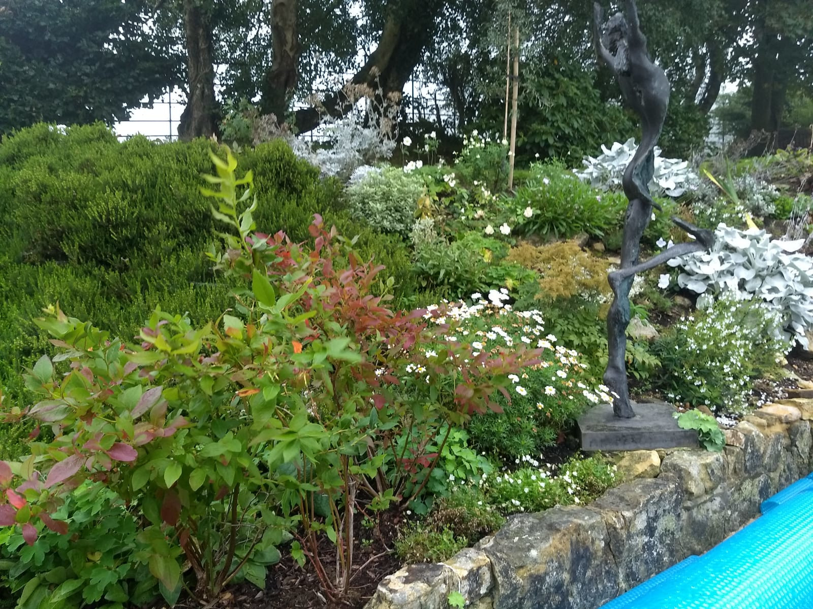 Alpine garden design