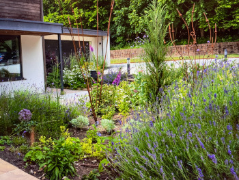 Garden design in West Kent