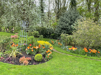 Garden designer in Kent and Sussex