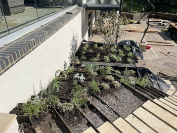 Mediterranean garden design