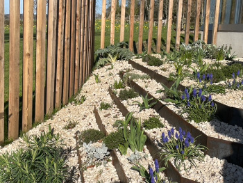 Mediterranean garden design