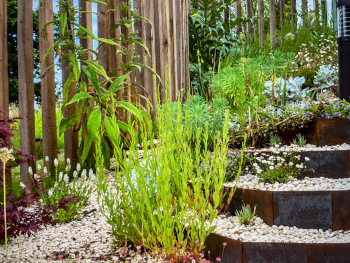 Mediterranean garden design