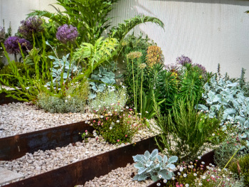 Mediterranean garden design
