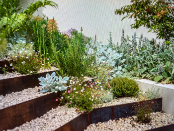 Mediterranean garden design