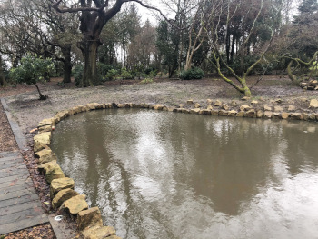 Pond garden design