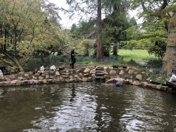 Pond garden design