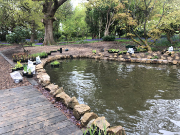 Pond garden design
