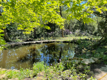 Pond garden design