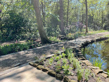 Pond garden design
