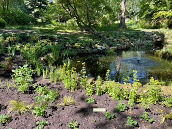 Pond garden design