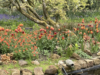 Pond garden design