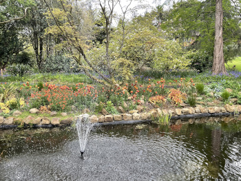 Pond garden design